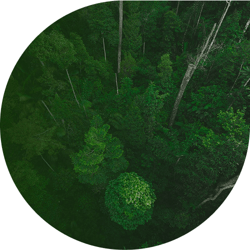 unsplash_gc3l58xaene-3